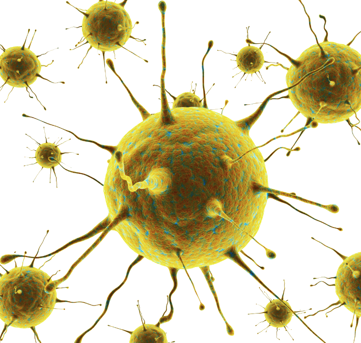 virus (© Dreaming Andy - Fotolia) virus (© Dreaming Andy - Fotolia)